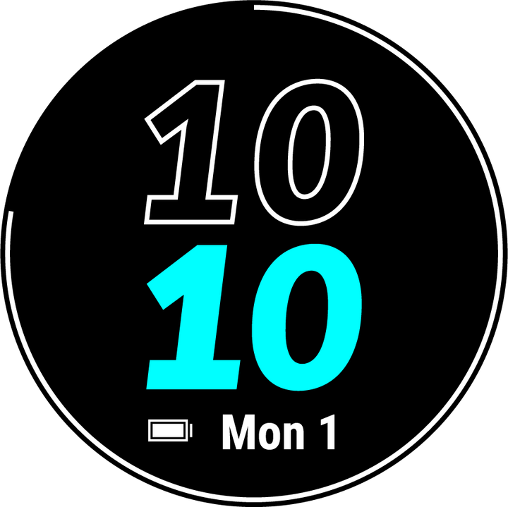 Garmin Smart Watch Forerunner 55 