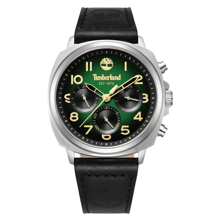 Timberland Williston - Small Men TBL.TDWGB0042008
