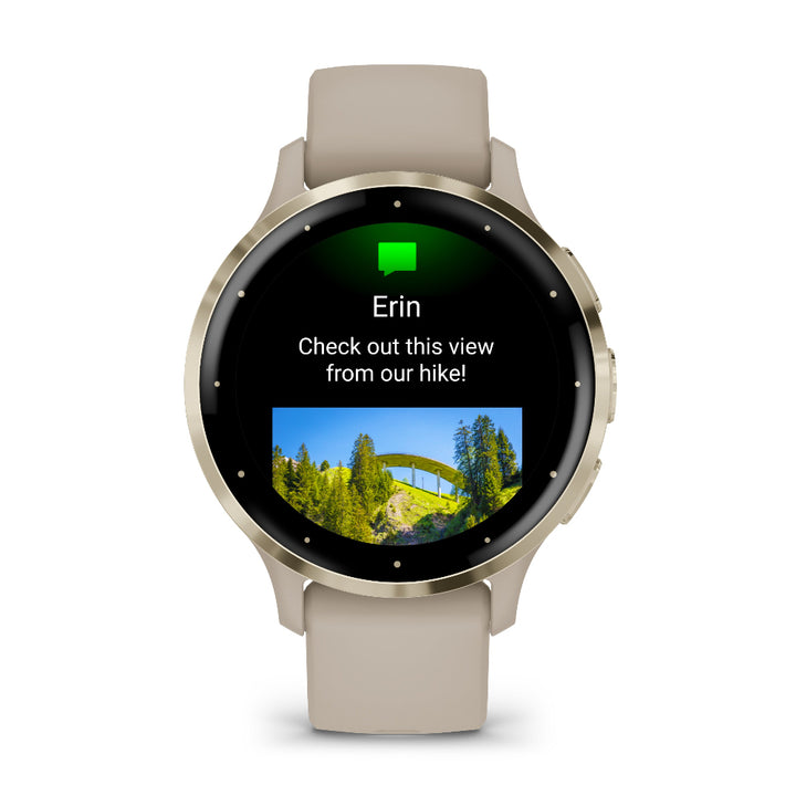 Garmin Smart Watch Venu 3S 41mm French Grey GM010-02785-52