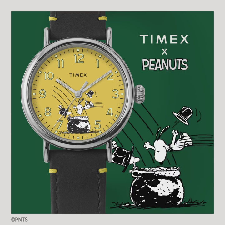 Timex Standard x Peanuts Featuring Snoopy St Patrick's Day TMTW2V60400UJ